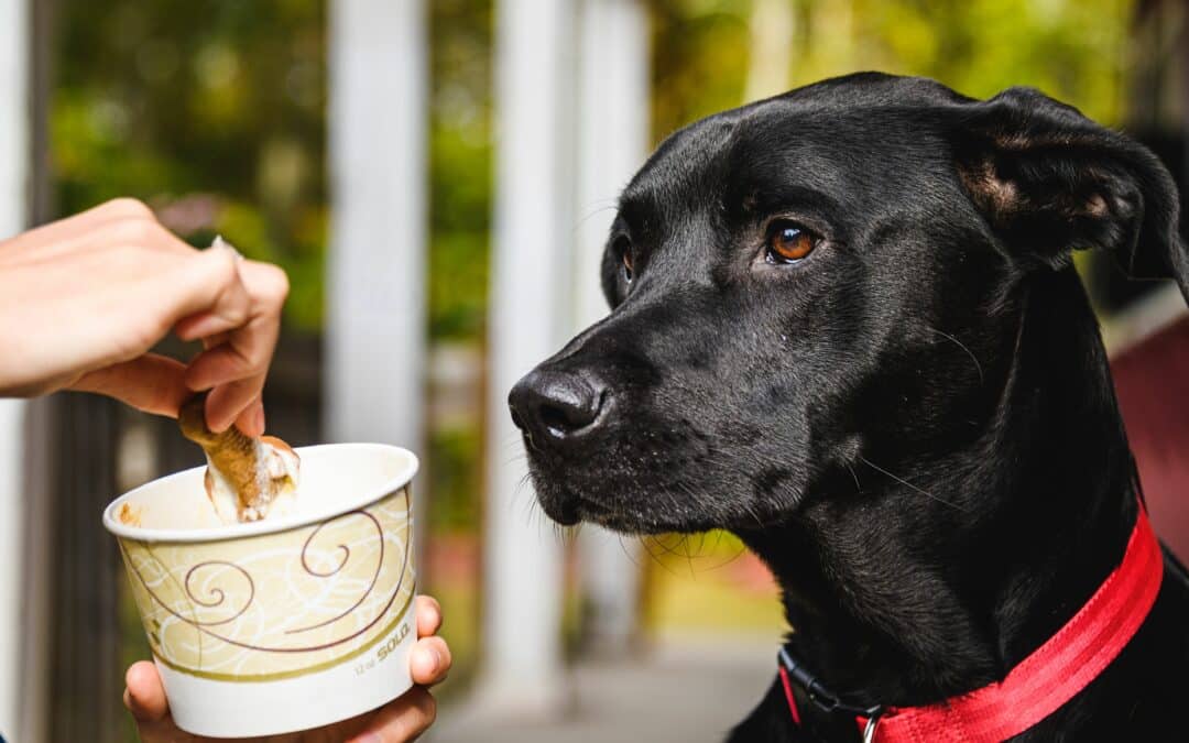 pup cup