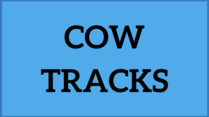 Cow Tracks Ice Cream